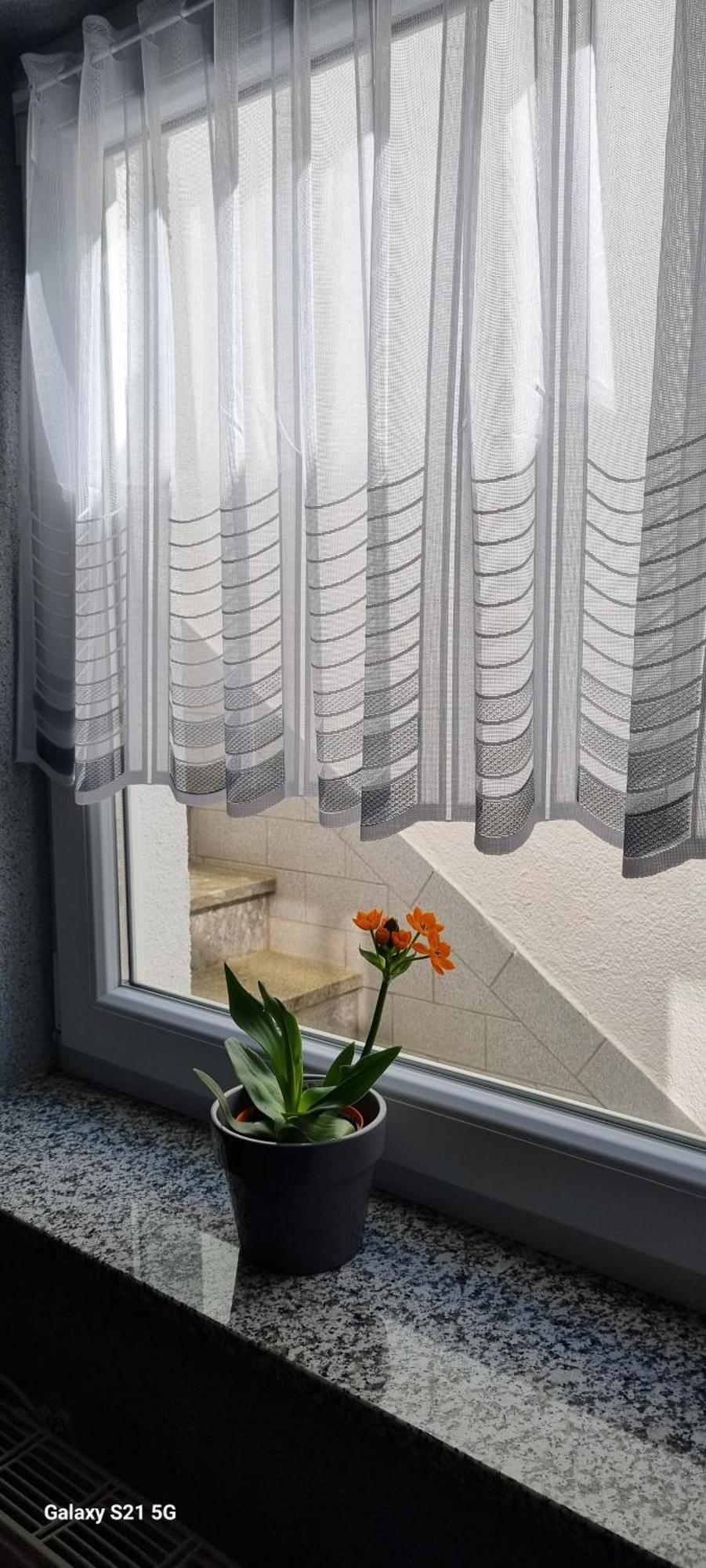Ferienwohnung Elefanten Балинген Екстериор снимка